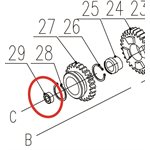 quill bearing